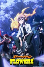 Shaman King: Flowers – Todos os Episodios