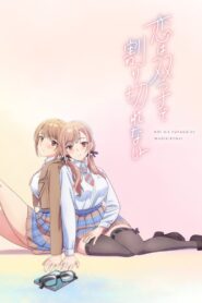 Koi wa Futago de Warikirenai – Todos os Episódios